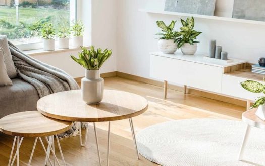 decor 1110