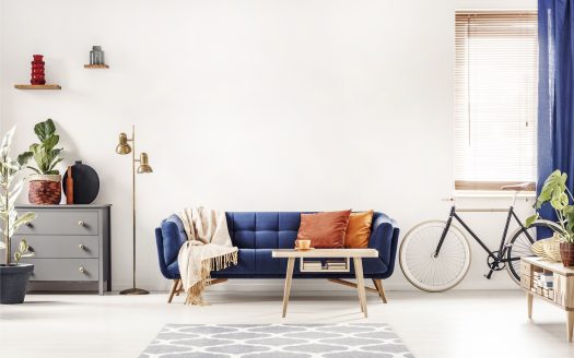 blue couch